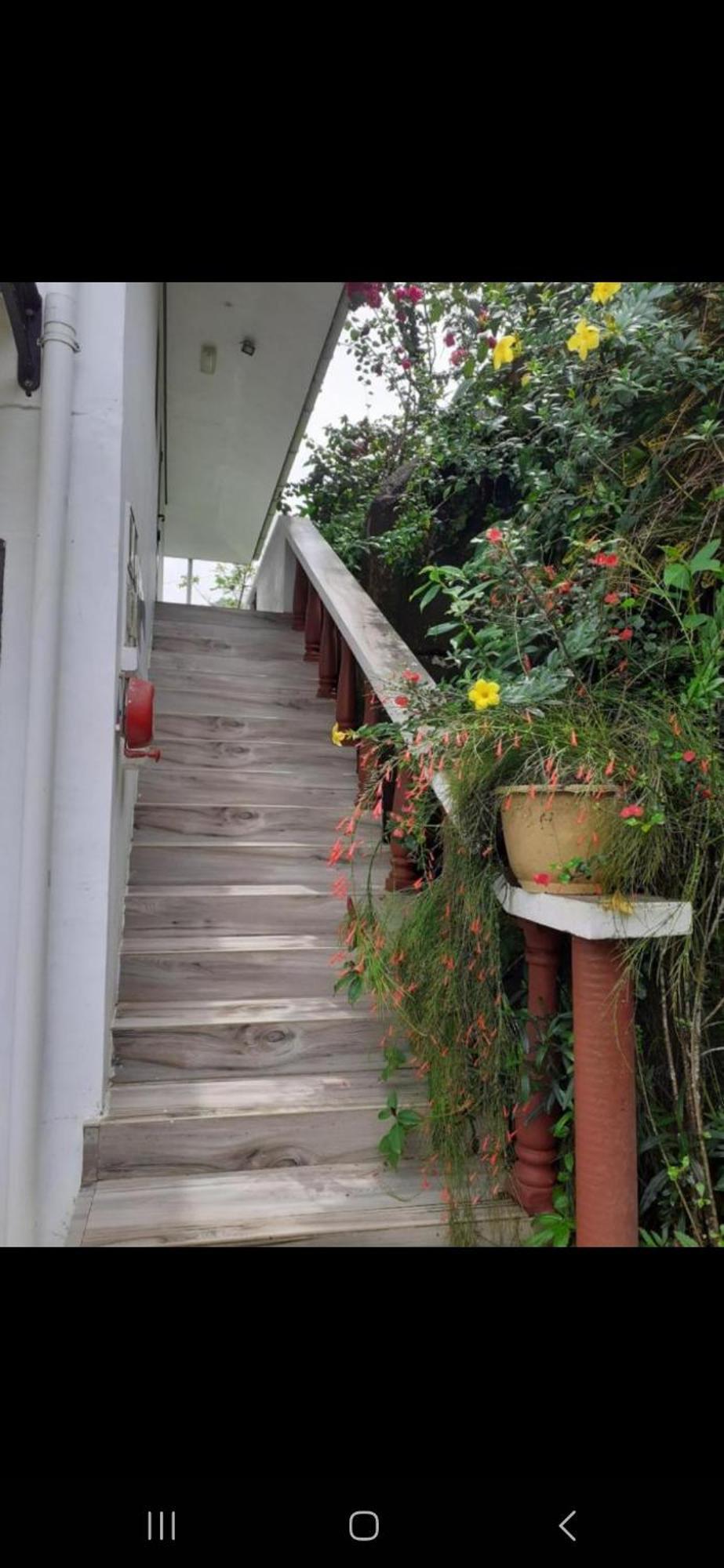 Gigi'S Self Catering Apartment Port Glaud Exterior photo